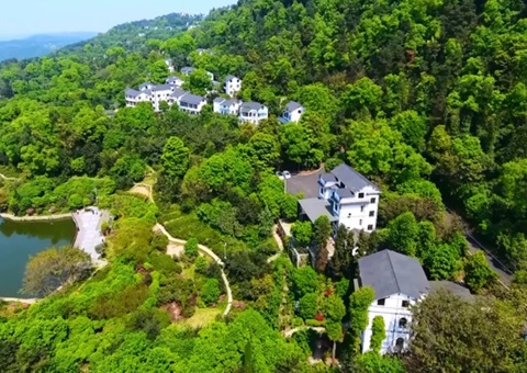 重庆将千方百计推动“农业增效益、、、农民增收入、、、农村增活力”——加速打造城乡融合墟落振兴树模区