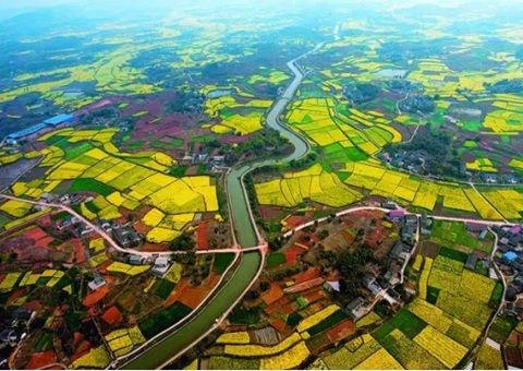 生意碳汇量5561吨&nbsp;&nbsp;&nbsp;四川首单水土坚持碳汇生意在成都告竣