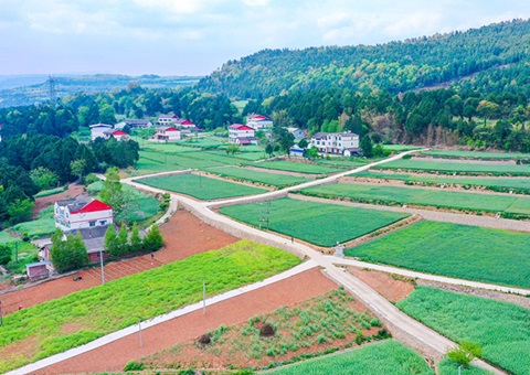 广元市推行“卫星田长”科技助力精准；；じ