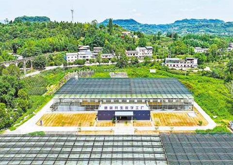 重庆：：数智赋能&nbsp;&nbsp;土地结出“智慧果”