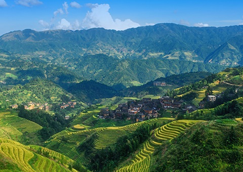 一次性200万元！！&nbsp;广西在天下率先实验林权挂号财务资金激励