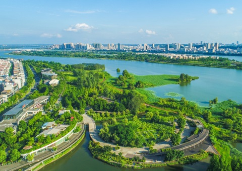 遂宁市提高土地供应效率珍重点项目建设