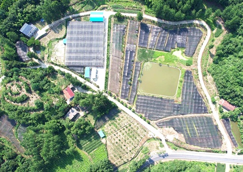 湖北省土地承包谋划权纳入不动产统一挂号取得新效果——实现全省“停旧发新”