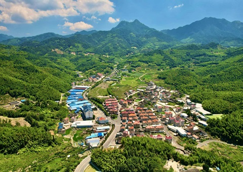 福建深化运用“知、、、督、、、促”事情机制——靶向发力 护航墟落振兴