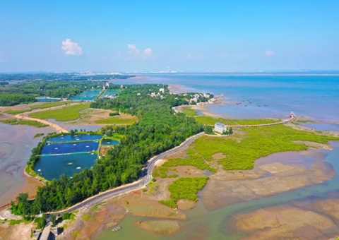 广西北部湾畔：：：墟落妄想引领古渔村“蝶变”