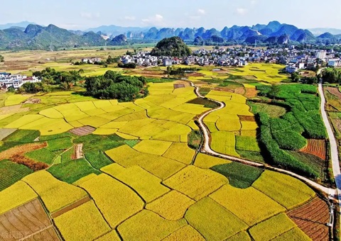 强化“指挥棒”作用&nbsp;&nbsp;柳州市发放500万元耕地；；；ぁ凹だ彀