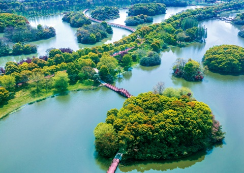 江西省湿地；；ぢ室汛61.99%