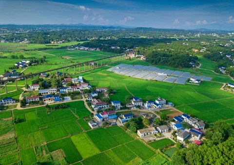 湖南：靶向发力盘活存量土地资产<br>为206家机关企事业单位定制处理方案，，盘活土地2.6万亩