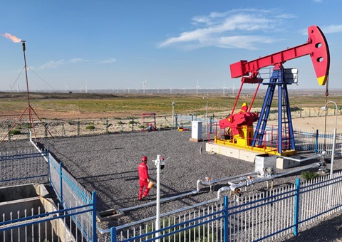 宁夏纵深推进新一轮找矿突破战略行动，，实验一批煤层气、页岩气、煤炭等勘查项目