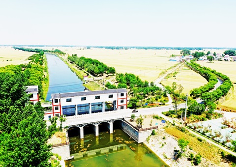 淮北市：：：“聘”好驻镇妄想师 做优“陪同式”墟落妄想服务