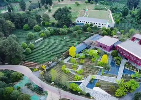 林间“种”出科创空间：四川蒲江用生态颜值撬动经济价值