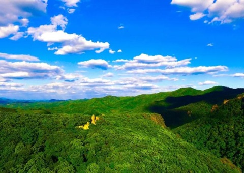 辽宁：：林草领域获80亿元信贷支持