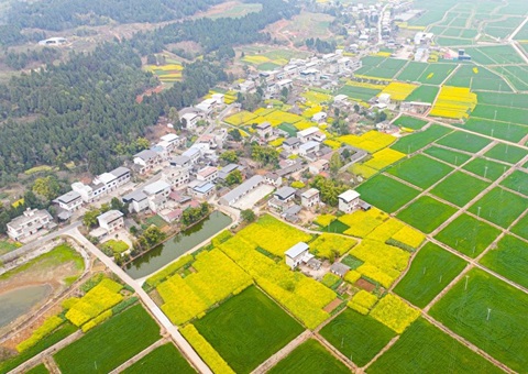 四川省委办公厅、、省政府办公厅印发《关于深化农村土地要素市场化刷新的意见》