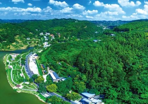 包管重大项目加速落地！！！成都会构建用地用林联动审查机制