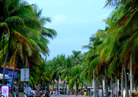 建“清凉都会”，海南有何“凉方”?