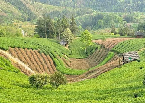 广西三江：下好墟落妄想“先手棋” 探索和美墟落“新样本”