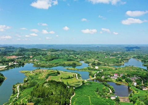 3.25亿吨、、、估值38.41亿元&nbsp;&nbsp; 四川有这些生态系统碳汇“家底”