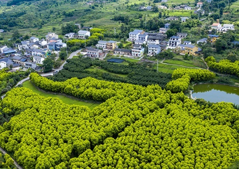 重庆墟落休闲旅游形成点线面立体式生长&nbsp;&nbsp;建设天下休闲农业重点县8个、、中国漂亮休闲墟落90个