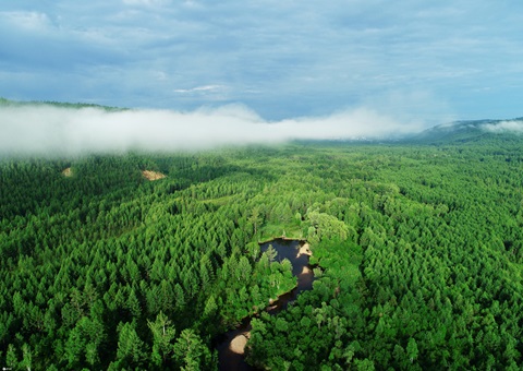 湖北首个大型活动碳中和指导意见宣布
