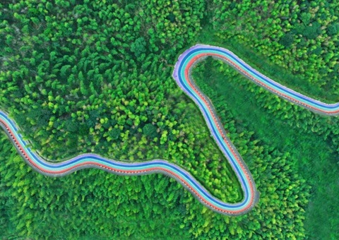 组合供应出新招，竹海收益节节高——桃江县“桃花江竹！！弊匀蛔试醋什楹瞎┯ν贫芳壑凳迪职咐