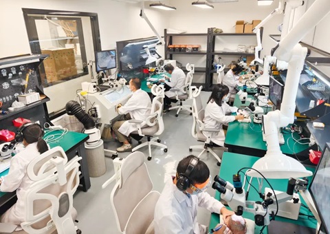 解锁远古“生命档案”！！广西首家专业古生物化石修复判断室亮相