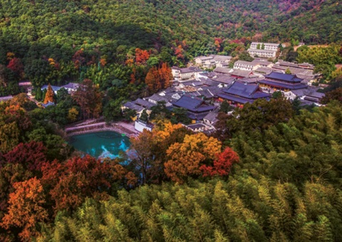 浙江：：森林公园生态旅游怎样高质量生长？？