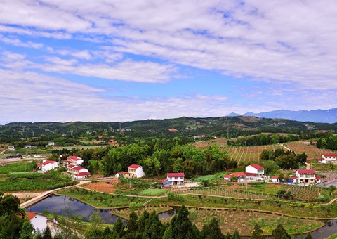 河南：2026年年底前实现墟落地区妄想治理全笼罩