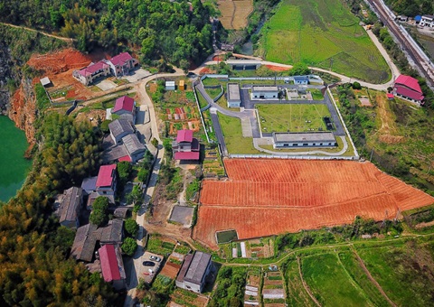 株洲：“三链联动”推动耕地耕作层剥离再使用